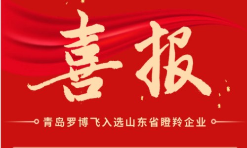 喜報(bào)！羅博飛海洋入選2023年度山東省瞪羚企業(yè)名單