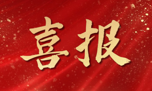 喜報(bào)頻傳丨羅博飛榮獲多項(xiàng)榮譽(yù)